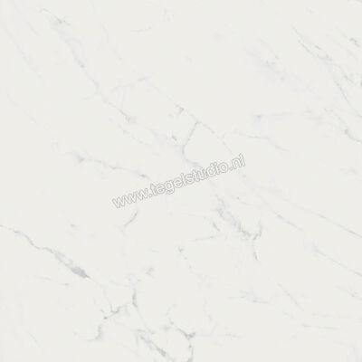  Ragno Imperiale Statuarietto 60x60 cm Vloertegel / Wandtegel Mat Vlak Naturale R73A | 387982