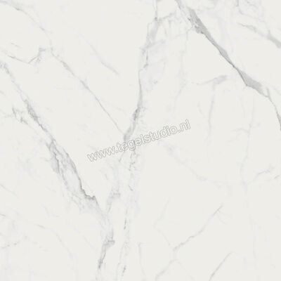  Ragno Imperiale Statuarietto 60x60 cm Vloertegel / Wandtegel Mat Vlak Naturale R73A | 387985