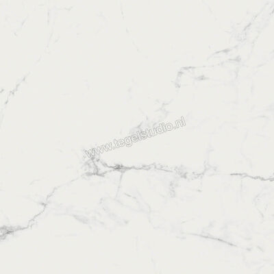  Ragno Imperiale Statuarietto 60x60 cm Vloertegel / Wandtegel Mat Vlak Naturale R73A | 387988