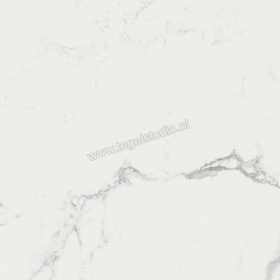  Ragno Imperiale Statuarietto 60x60 cm Vloertegel / Wandtegel Mat Vlak Naturale R73A | 387994