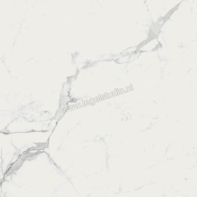  Ragno Imperiale Statuarietto 60x60 cm Vloertegel / Wandtegel Mat Vlak Naturale R73A | 387997