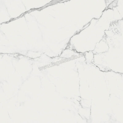  Ragno Imperiale Statuarietto 60x60 cm Vloertegel / Wandtegel Mat Vlak Naturale R73A | 388003