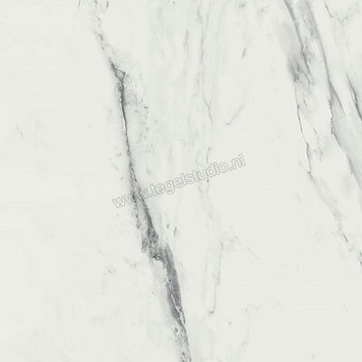 Ragno Imperiale Venato 60x60 cm Vloertegel / Wandtegel Mat Vlak Naturale R739 | 388015