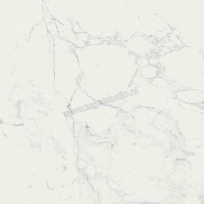  Ragno Imperiale Bianco 60x60 cm Vloertegel / Wandtegel Mat Vlak Naturale R738 | 388021