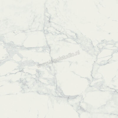  Ragno Imperiale Bianco 60x60 cm Vloertegel / Wandtegel Mat Vlak Naturale R738 | 388024