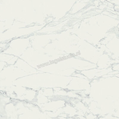 Ragno Imperiale Bianco 60x60 cm Vloertegel / Wandtegel Mat Vlak Naturale R738 | 388027