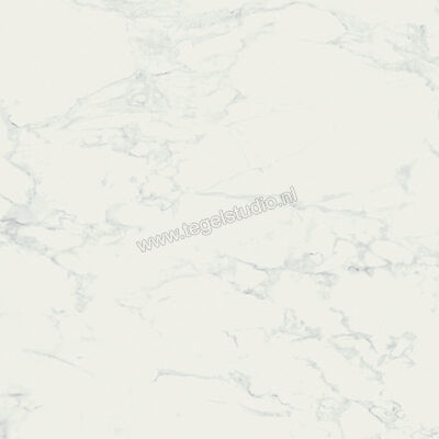  Ragno Imperiale Bianco 60x60 cm Vloertegel / Wandtegel Mat Vlak Naturale R738 | 388030