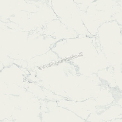  Ragno Imperiale Bianco 60x60 cm Vloertegel / Wandtegel Mat Vlak Naturale R738 | 388033