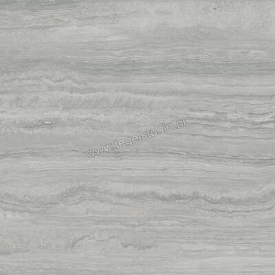  Ragno Imperiale Travertino Grigio 58x58 cm Vloertegel / Wandtegel Glanzend Vlak Glossy R732 | 388054