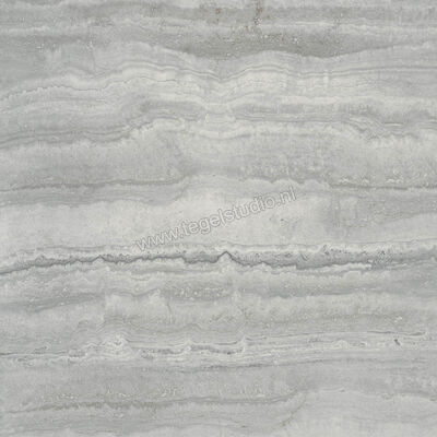  Ragno Imperiale Travertino Grigio 58x58 cm Vloertegel / Wandtegel Glanzend Vlak Glossy R732 | 388066