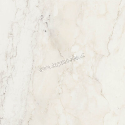  Ragno Imperiale Calacatta 58x58 cm Vloertegel / Wandtegel Glanzend Vlak Glossy R72Z | 388129