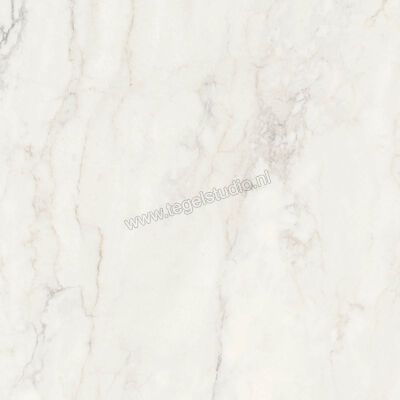  Ragno Imperiale Calacatta 58x58 cm Vloertegel / Wandtegel Glanzend Vlak Glossy R72Z | 388135