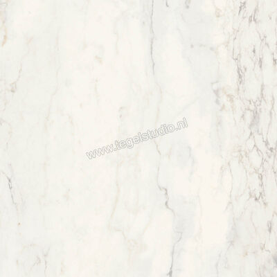  Ragno Imperiale Calacatta 58x58 cm Vloertegel / Wandtegel Glanzend Vlak Glossy R72Z | 388141