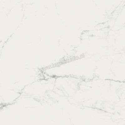 Ragno Imperiale Statuarietto 58x58 cm Vloertegel / Wandtegel Glanzend Vlak Glossy R72Y | 388159
