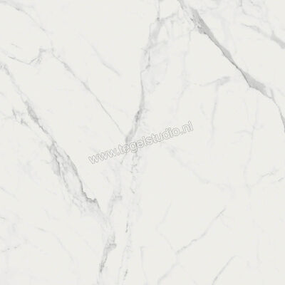  Ragno Imperiale Statuarietto 58x58 cm Vloertegel / Wandtegel Glanzend Vlak Glossy R72Y | 388162