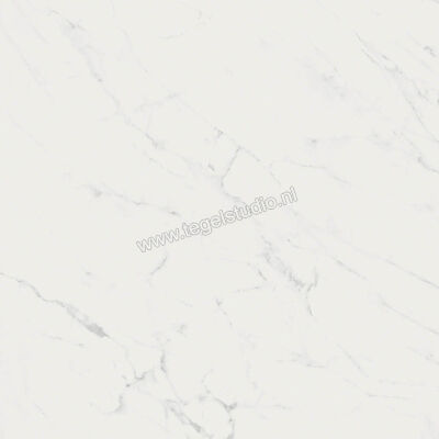  Ragno Imperiale Statuarietto 58x58 cm Vloertegel / Wandtegel Glanzend Vlak Glossy R72Y | 388165