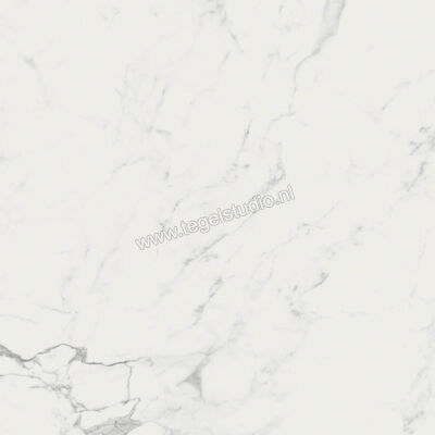 Ragno Imperiale Statuarietto 58x58 cm Vloertegel / Wandtegel Glanzend Vlak Glossy R72Y | 388168