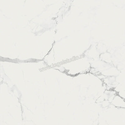 Ragno Imperiale Statuarietto 58x58 cm Vloertegel / Wandtegel Glanzend Vlak Glossy R72Y | 388171
