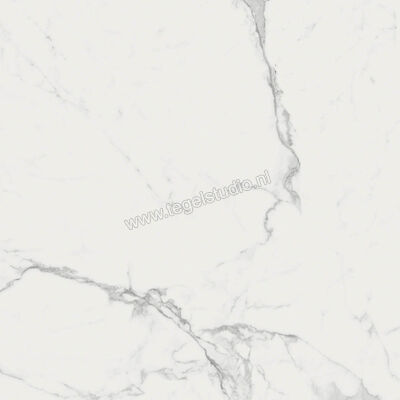  Ragno Imperiale Statuarietto 58x58 cm Vloertegel / Wandtegel Glanzend Vlak Glossy R72Y | 388174