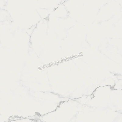  Ragno Imperiale Statuarietto 58x58 cm Vloertegel / Wandtegel Glanzend Vlak Glossy R72Y | 388177
