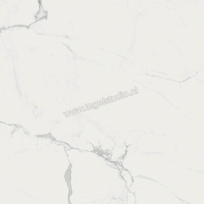  Ragno Imperiale Statuarietto 58x58 cm Vloertegel / Wandtegel Glanzend Vlak Glossy R72Y | 388183