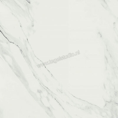  Ragno Imperiale Venato 58x58 cm Vloertegel / Wandtegel Glanzend Vlak Glossy R72X | 388189