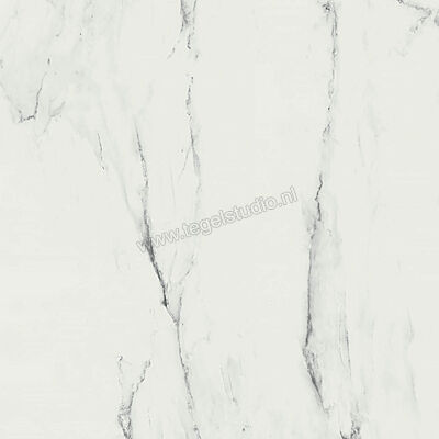  Ragno Imperiale Venato 58x58 cm Vloertegel / Wandtegel Glanzend Vlak Glossy R72X | 388195