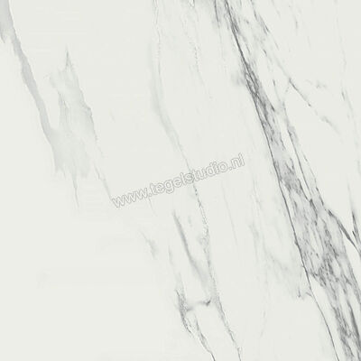  Ragno Imperiale Venato 58x58 cm Vloertegel / Wandtegel Glanzend Vlak Glossy R72X | 388198