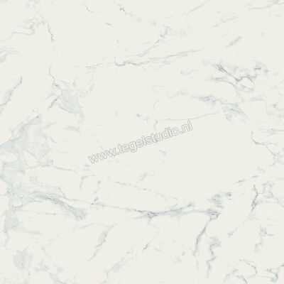  Ragno Imperiale Bianco 58x58 cm Vloertegel / Wandtegel Glanzend Vlak Glossy R72W | 388201