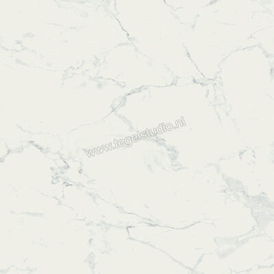  Ragno Imperiale Bianco 58x58 cm Vloertegel / Wandtegel Glanzend Vlak Glossy R72W | 388204