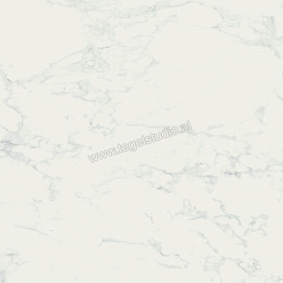  Ragno Imperiale Bianco 58x58 cm Vloertegel / Wandtegel Glanzend Vlak Glossy R72W | 388207
