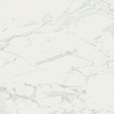  Ragno Imperiale Bianco 58x58 cm Vloertegel / Wandtegel Glanzend Vlak Glossy R72W | 388210