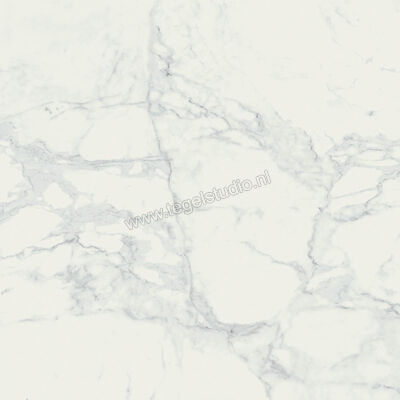  Ragno Imperiale Bianco 58x58 cm Vloertegel / Wandtegel Glanzend Vlak Glossy R72W | 388213