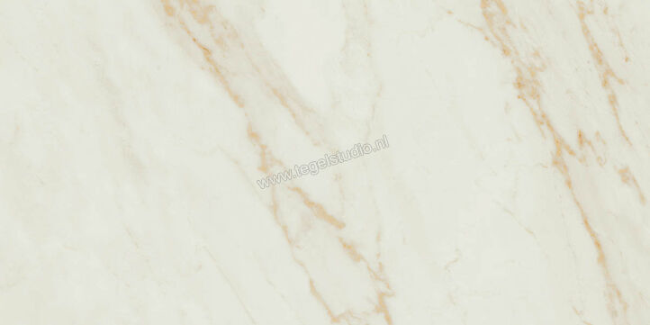  Ragno Imperiale Avorio 60x120 cm Vloertegel / Wandtegel Mat Vlak Naturale R72S | 388258