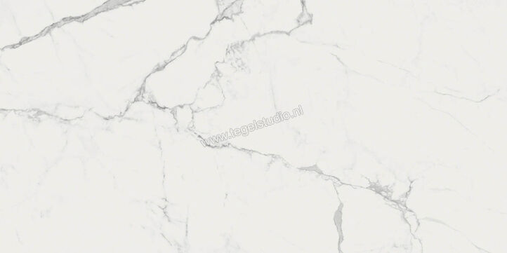  Ragno Imperiale Statuarietto 60x120 cm Vloertegel / Wandtegel Mat Vlak Naturale R72R | 388267