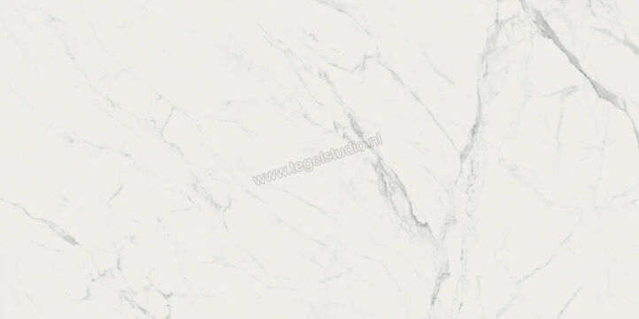  Ragno Imperiale Statuarietto 60x120 cm Vloertegel / Wandtegel Mat Vlak Naturale R72R | 388276