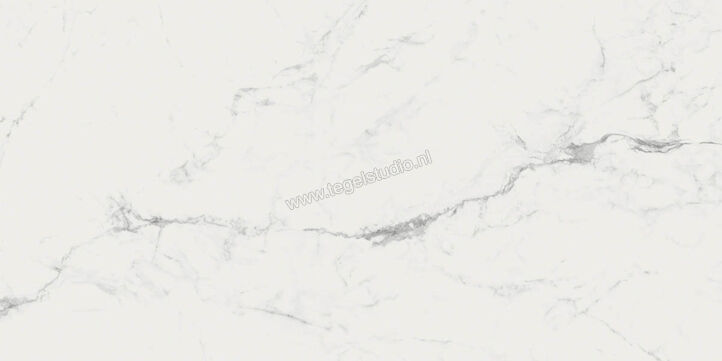  Ragno Imperiale Statuarietto 60x120 cm Vloertegel / Wandtegel Mat Vlak Naturale R72R | 388279