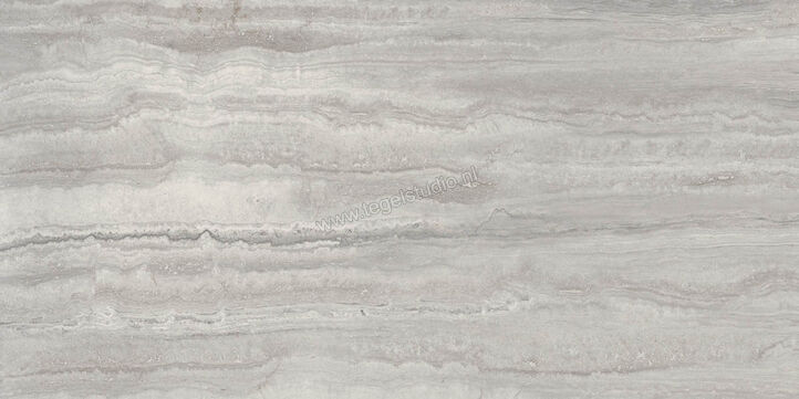  Ragno Imperiale Travertino Grigio 58x116 cm Vloertegel / Wandtegel Glanzend Vlak Glossy R72L | 388327