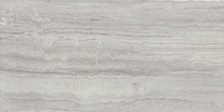  Ragno Imperiale Travertino Grigio 58x116 cm Vloertegel / Wandtegel Glanzend Vlak Glossy R72L | 388330