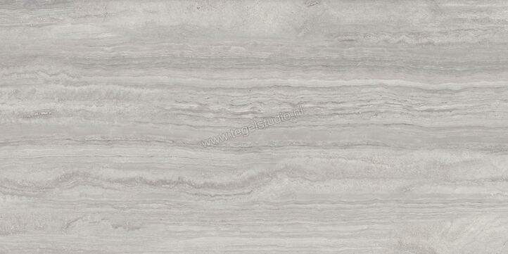  Ragno Imperiale Travertino Grigio 58x116 cm Vloertegel / Wandtegel Glanzend Vlak Glossy R72L | 388333