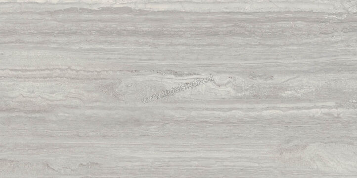  Ragno Imperiale Travertino Grigio 58x116 cm Vloertegel / Wandtegel Glanzend Vlak Glossy R72L | 388336