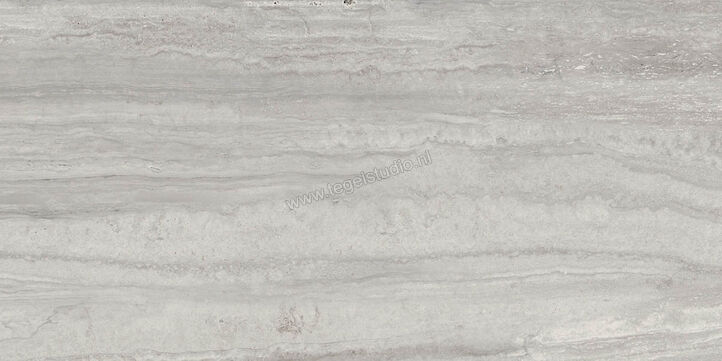  Ragno Imperiale Travertino Grigio 58x116 cm Vloertegel / Wandtegel Glanzend Vlak Glossy R72L | 388342