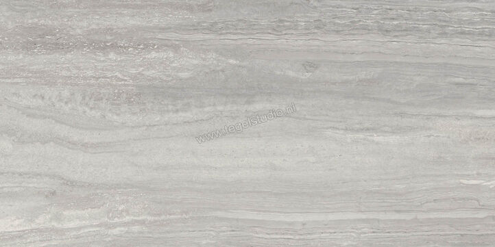  Ragno Imperiale Travertino Grigio 58x116 cm Vloertegel / Wandtegel Glanzend Vlak Glossy R72L | 388345