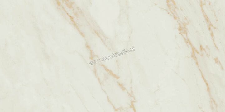  Ragno Imperiale Avorio 58x116 cm Vloertegel / Wandtegel Glanzend Vlak Glossy R72J | 388372