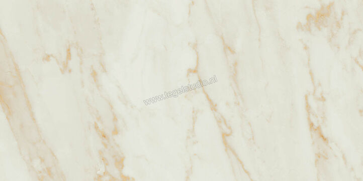  Ragno Imperiale Avorio 58x116 cm Vloertegel / Wandtegel Glanzend Vlak Glossy R72J | 388381