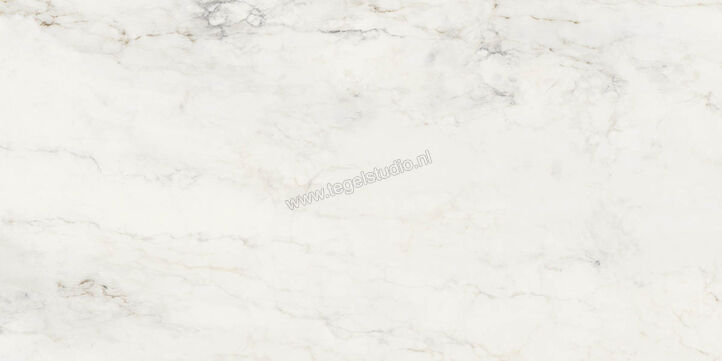  Ragno Imperiale Calacatta 58x116 cm Vloertegel / Wandtegel Glanzend Vlak Glossy R72H | 388384