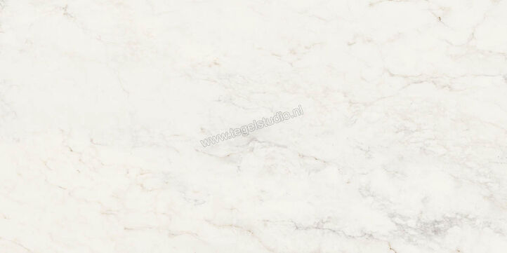  Ragno Imperiale Calacatta 58x116 cm Vloertegel / Wandtegel Glanzend Vlak Glossy R72H | 388387