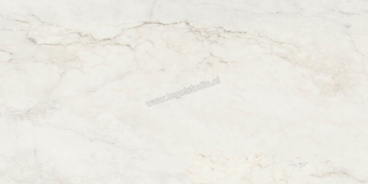  Ragno Imperiale Calacatta 58x116 cm Vloertegel / Wandtegel Glanzend Vlak Glossy R72H | 388390