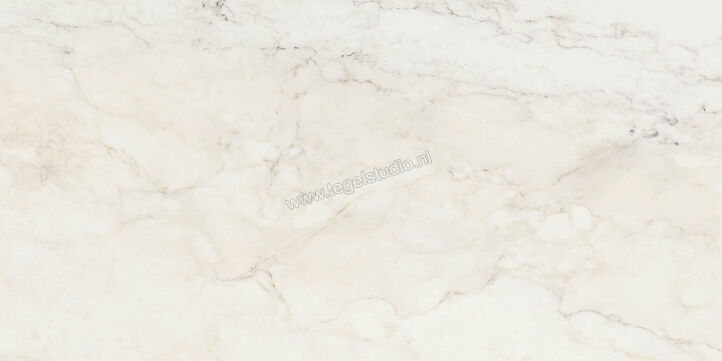  Ragno Imperiale Calacatta 58x116 cm Vloertegel / Wandtegel Glanzend Vlak Glossy R72H | 388393