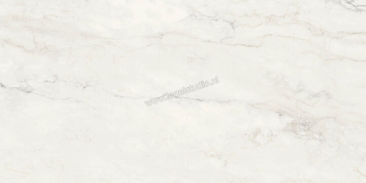  Ragno Imperiale Calacatta 58x116 cm Vloertegel / Wandtegel Glanzend Vlak Glossy R72H | 388396